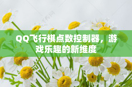 QQ飞行棋点数控制器图片