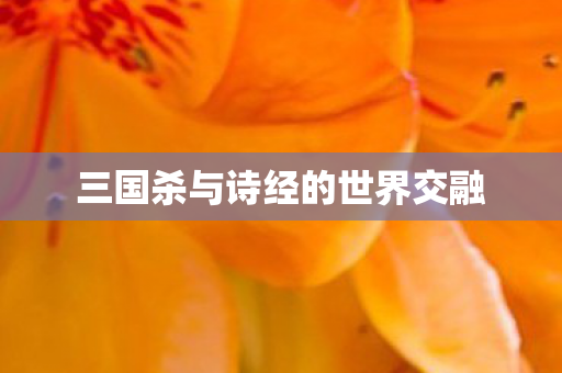 三国杀与诗经的世界交融图片