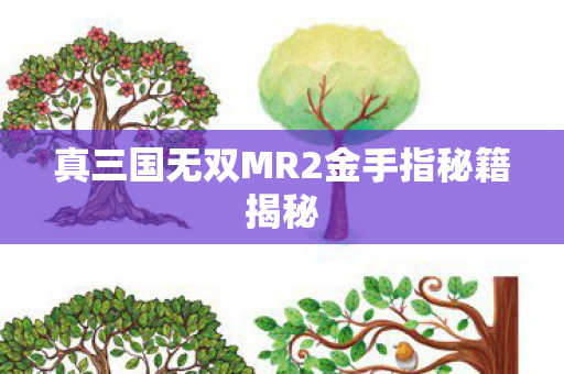 真三国无双MR2金手指秘籍揭秘图片