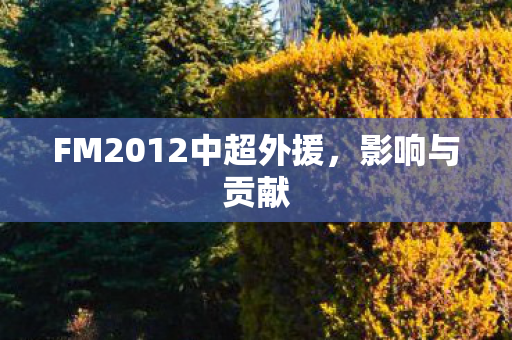 FM2012中超外援图片