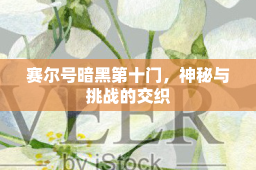 赛尔号暗黑第十门图片