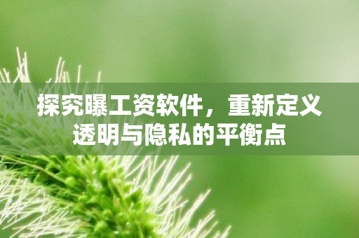 重新定义透明与隐私的平衡点图片