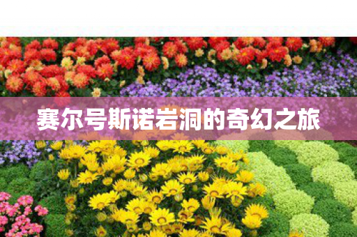 赛尔号斯诺岩洞的奇幻之旅图片