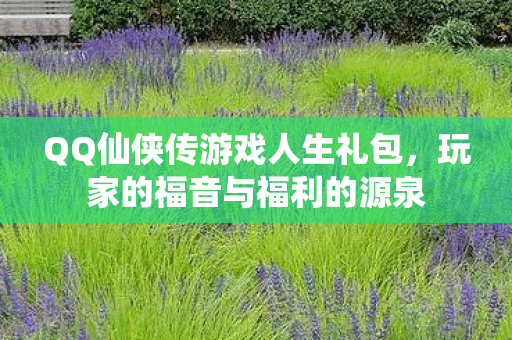 QQ仙侠传游戏人生礼包图片