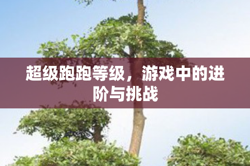 游戏中的进阶与挑战图片