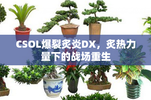 CSOL爆裂炙炎DX图片