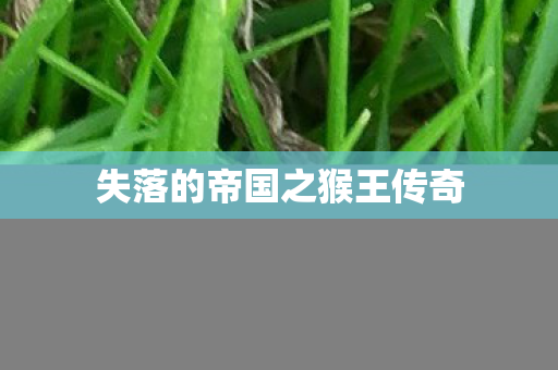 失落的帝国之猴王传奇图片