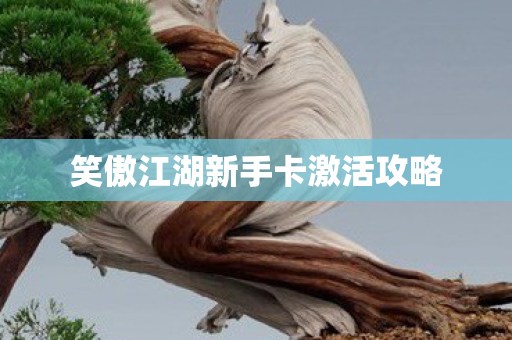 笑傲江湖新手卡激活攻略图片