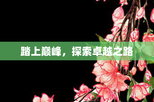 探索卓越之路图片