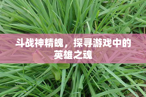 探寻游戏中的英雄之魂图片