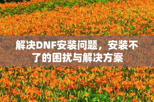 安装不了的困扰与解决方案图片