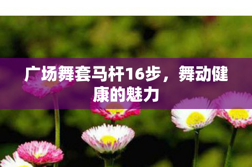广场舞套马杆16步图片