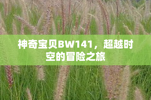 神奇宝贝BW141图片