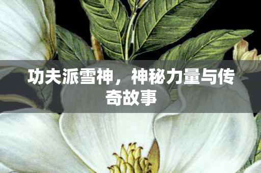 神秘力量与传奇故事图片