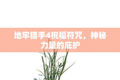 地牢猎手4祝福符咒图片