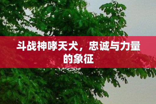 忠诚与力量的象征图片