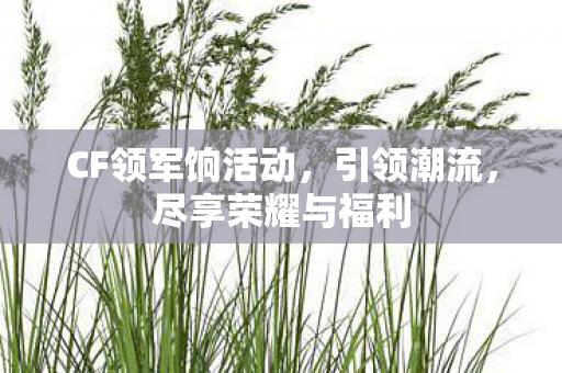 CF领军饷活动图片