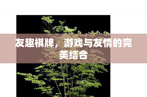 游戏与友情的完美结合图片