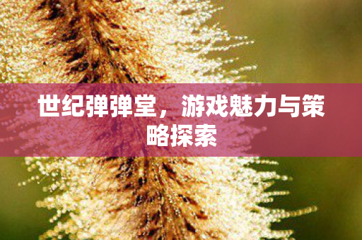 游戏魅力与策略探索图片