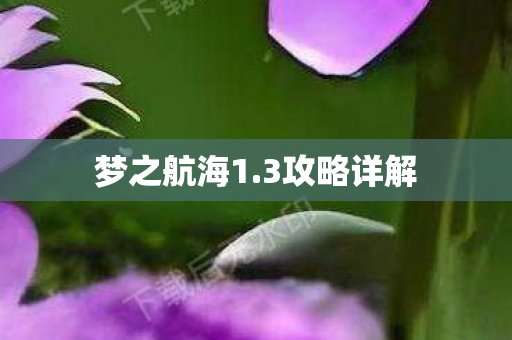 梦之航海1图片