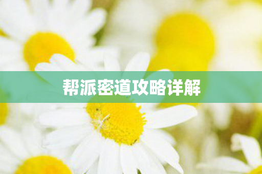 帮派密道攻略详解图片