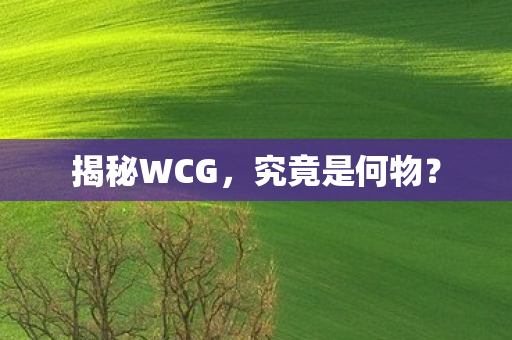 揭秘WCG图片