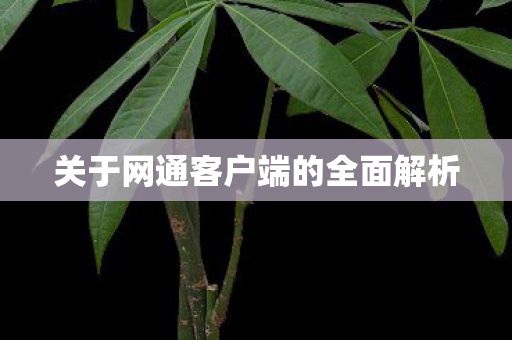 关于网通客户端的全面解析图片