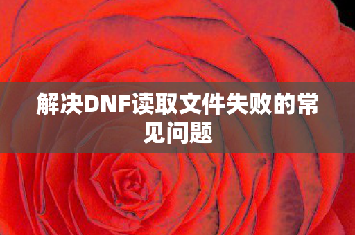解决DNF读取文件失败的常见问题图片