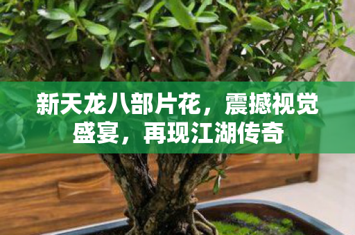 新天龙八部片花图片