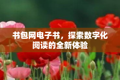 探索数字化阅读的全新体验图片