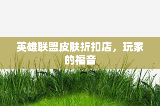 英雄联盟皮肤折扣店图片