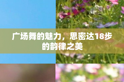 思密达18步的韵律之美图片