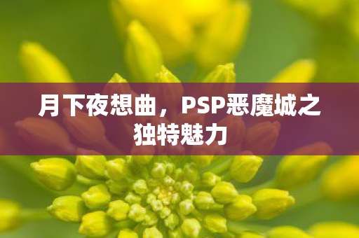 PSP恶魔城之独特魅力图片