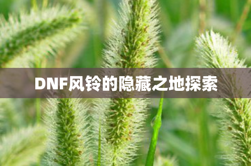 DNF风铃的隐藏之地探索图片