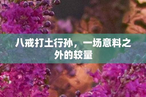 一场意料之外的较量图片