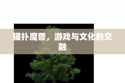 游戏与文化的交融图片