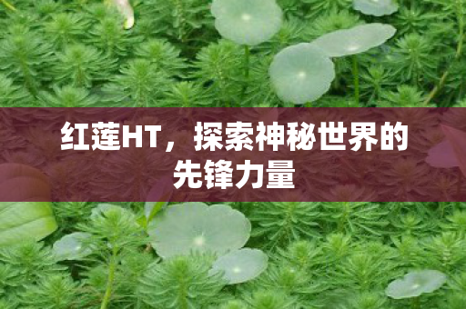探索神秘世界的先锋力量图片