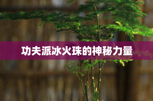 功夫派冰火珠的神秘力量图片