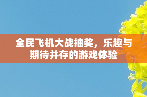 乐趣与期待并存的游戏体验图片