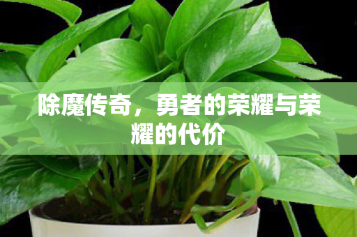 勇者的荣耀与荣耀的代价图片