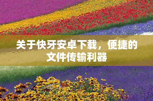 便捷的文件传输利器图片