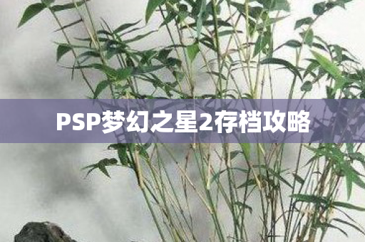 PSP梦幻之星2存档攻略图片
