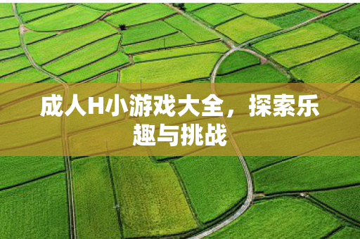 成人H小游戏大全图片