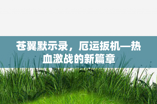 热血激战的新篇章图片