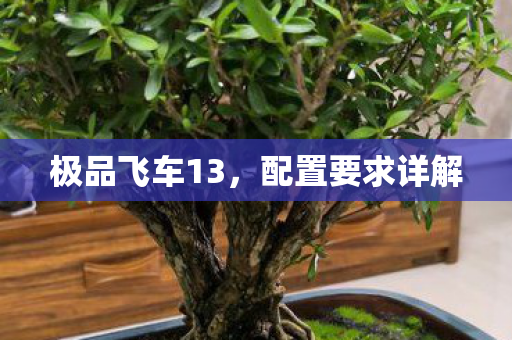 极品飞车13图片
