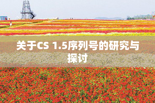 5序列号的研究与探讨图片