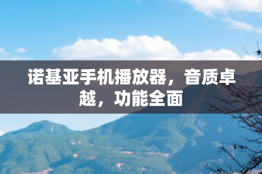 诺基亚手机播放器图片