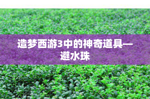 造梦西游3中的神奇道具图片