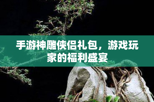 游戏玩家的福利盛宴图片