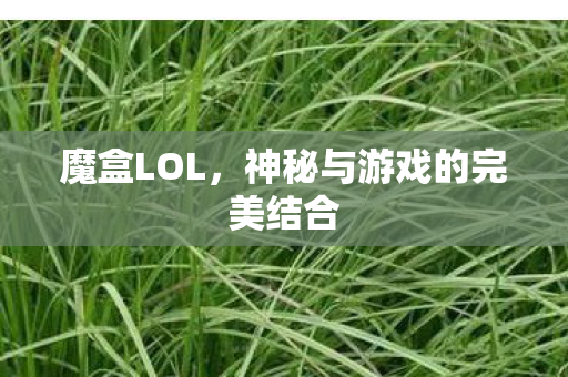 神秘与游戏的完美结合图片